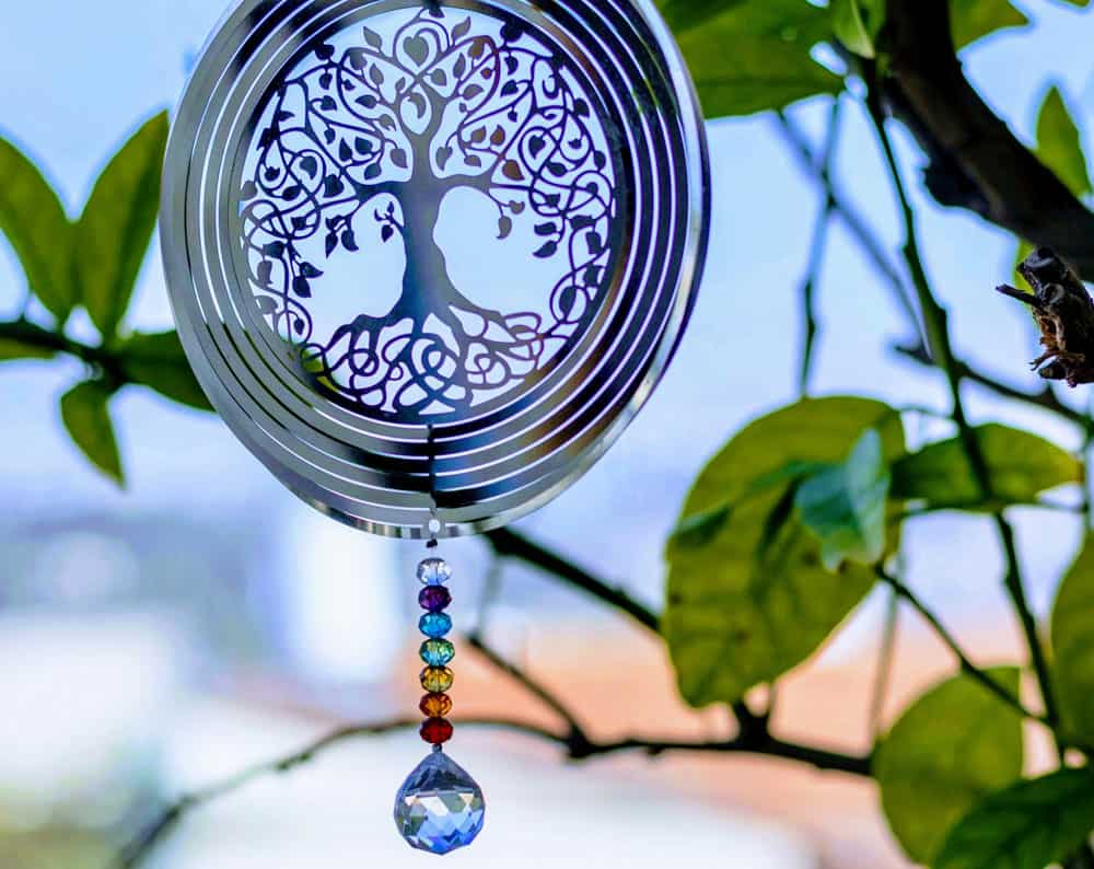 asya energy of life - Formaciones